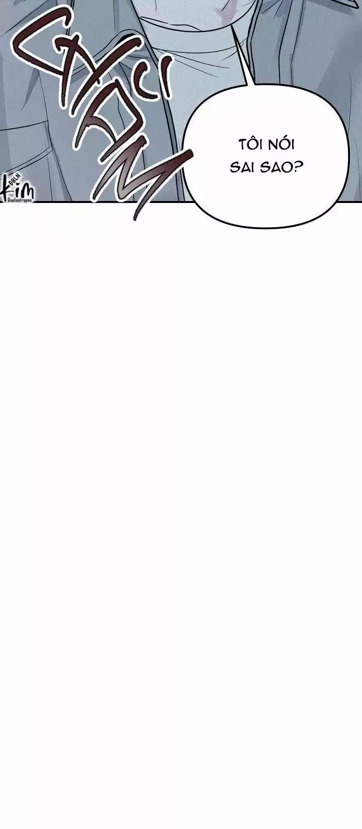 Projection 31 trang 31