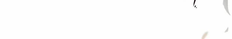 Quái Thú Bị Thuần Hóa Bởi Ác Nữ 9 trang 24