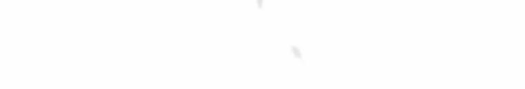 Quái Thú Bị Thuần Hóa Bởi Ác Nữ 9 trang 49