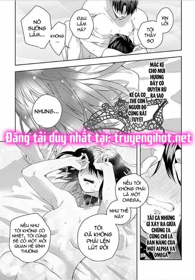 Quan Hệ Ngọt Ngào Trước Khi Yêu~ Giám Đốc Và Nàng Omega Định Mệnh 1.3 trang 4