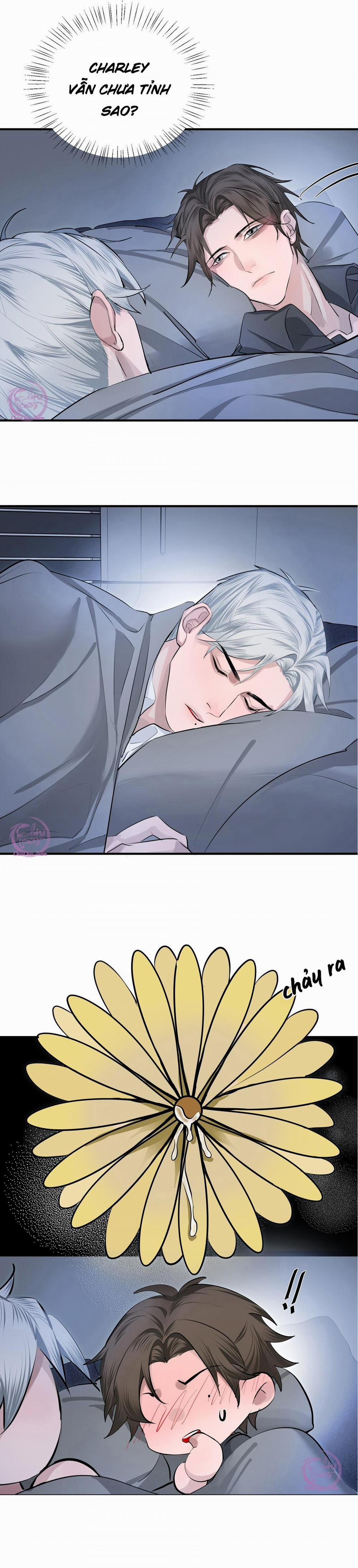 Quan Hệ Xâm Chiếm 8 trang 2