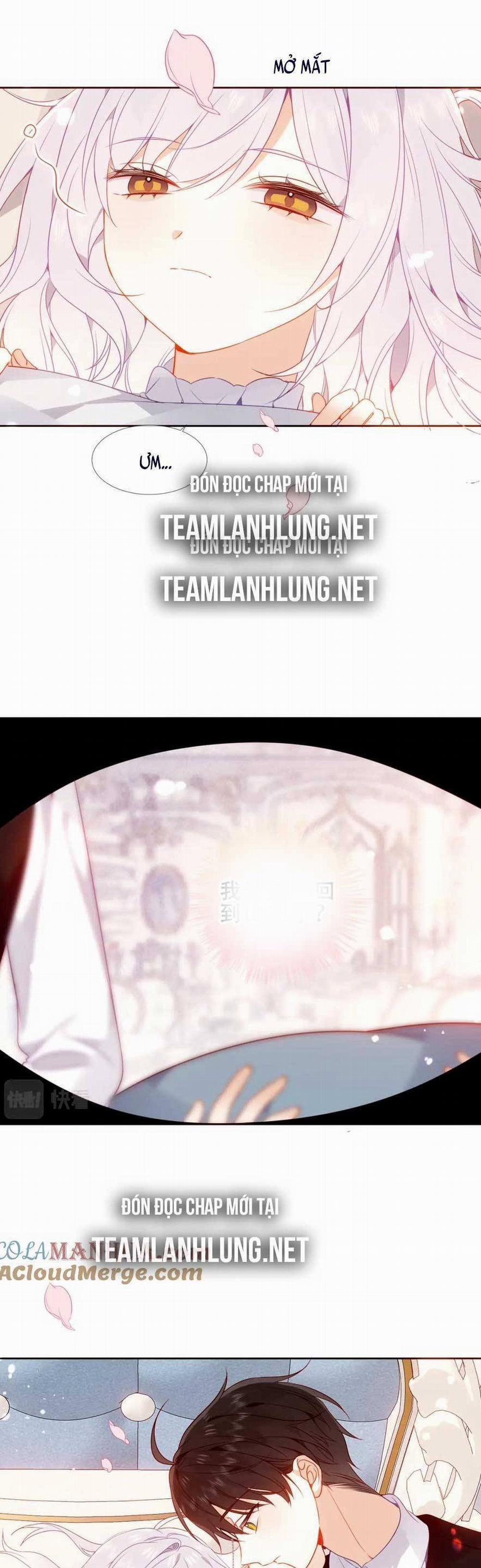 Quán Kịch Bản Trần Mộng 42 trang 14