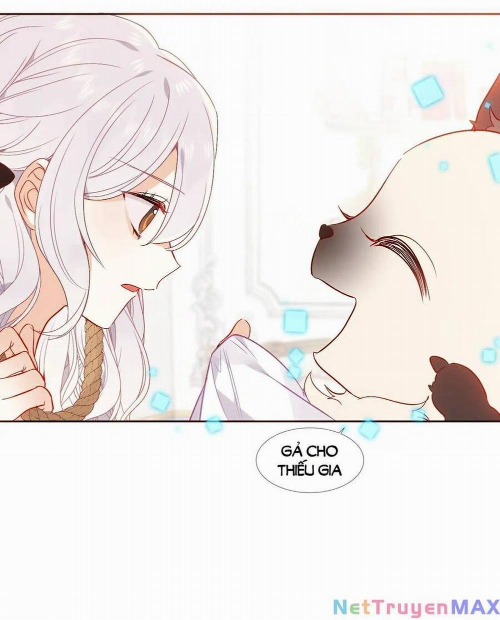 Quán Kịch Bản Trần Mộng 44 trang 7