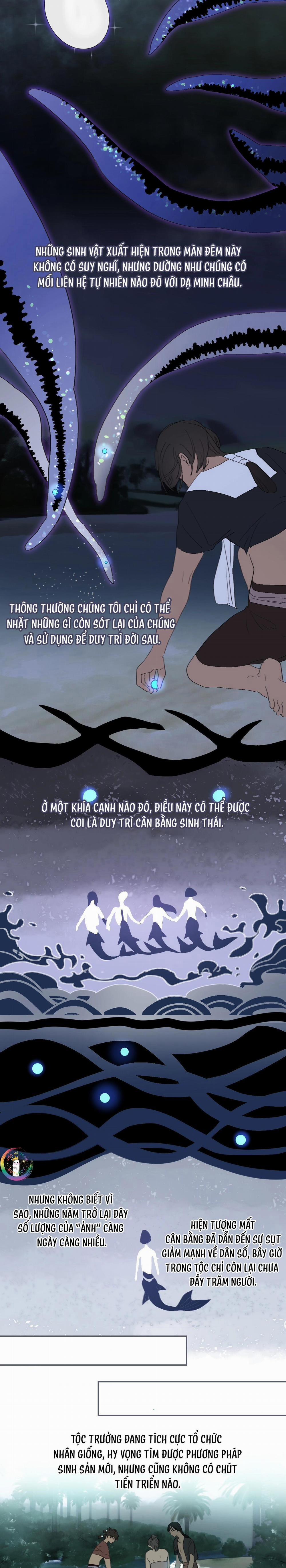 Quanh Năm Có Cá 14 trang 7