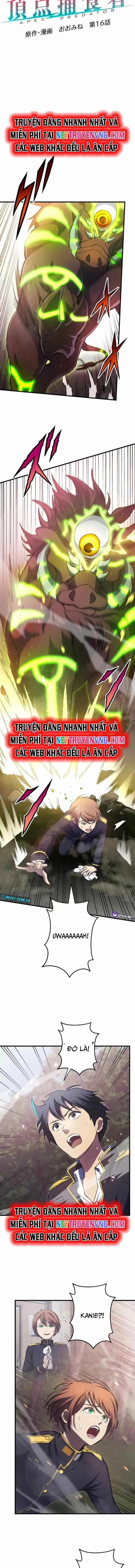 Quật Khởi Từ Tầng Đáy 16 trang 1