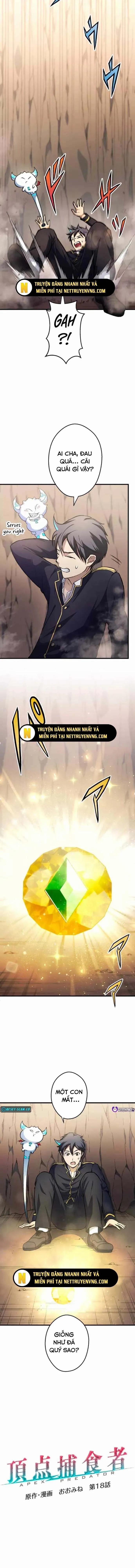 Quật Khởi Từ Tầng Đáy 18 trang 1