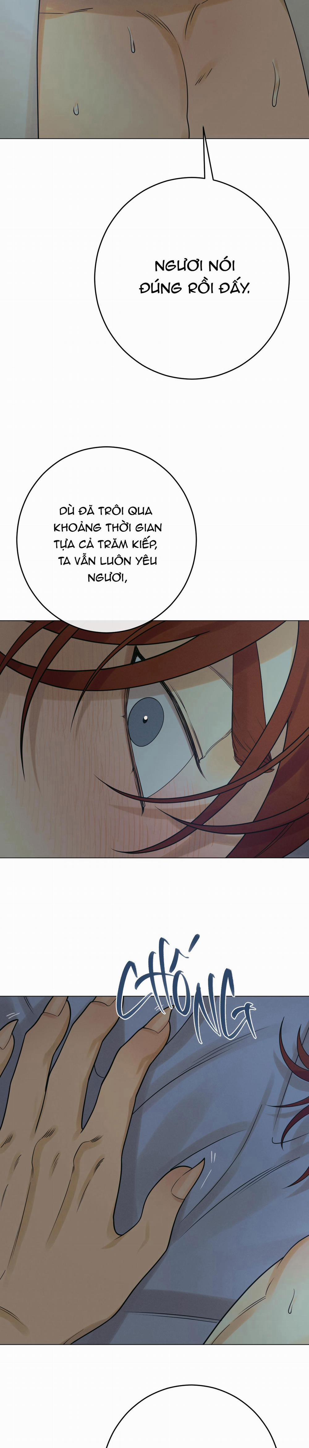 Quẻ Bói Giấc Mơ Của Yêu Tinh 25 H+++ trang 11