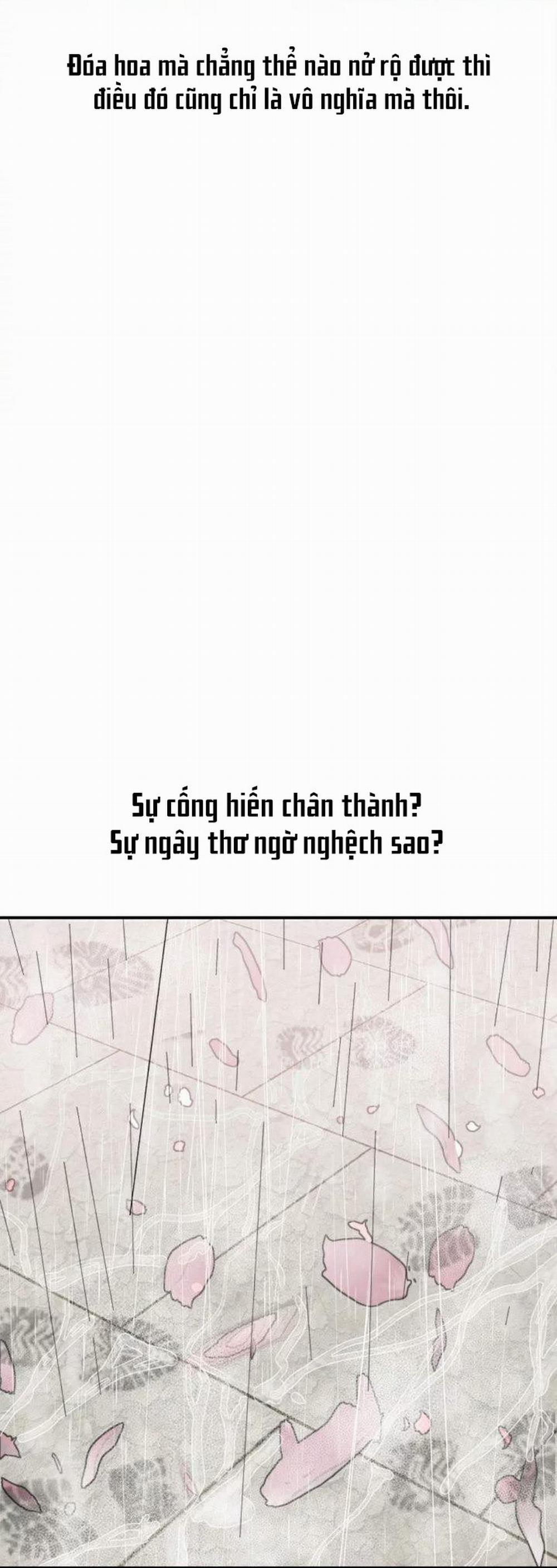 Quý Cô Của Tôi 1 trang 65