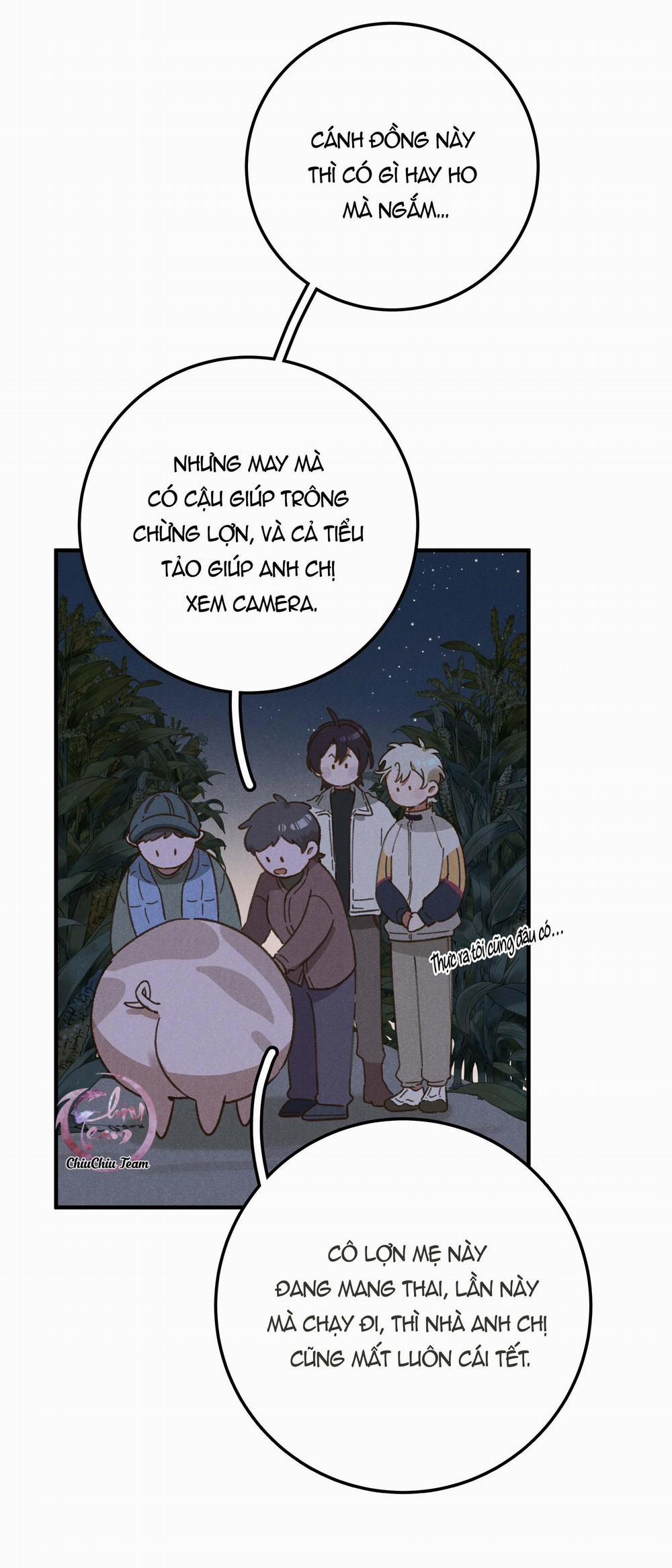 Ra Ruộng Ngô Với Anh Á, Còn Lâu! 5.1 trang 6