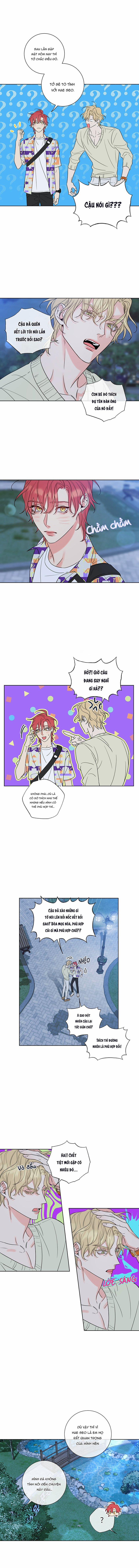 Rắc Rối Mật Ngọt 3 trang 6