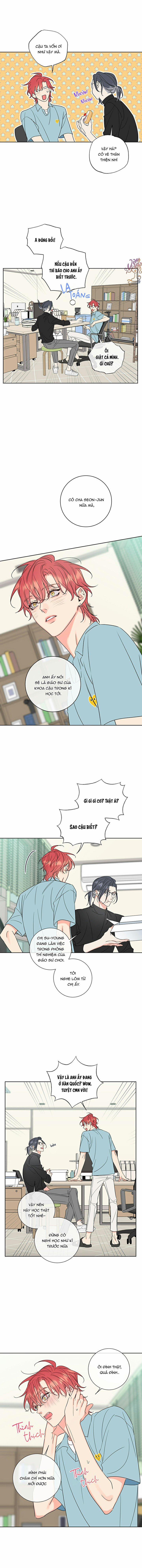 Rắc Rối Mật Ngọt 6 trang 5