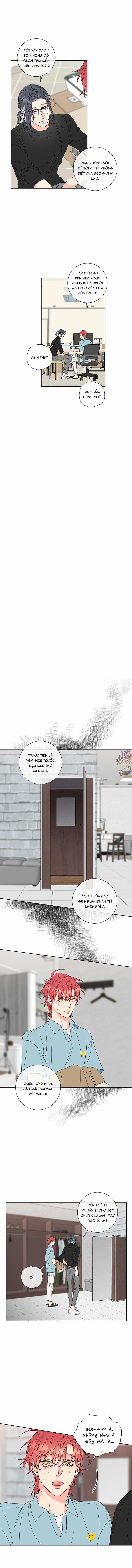 Rắc Rối Mật Ngọt 6 trang 6