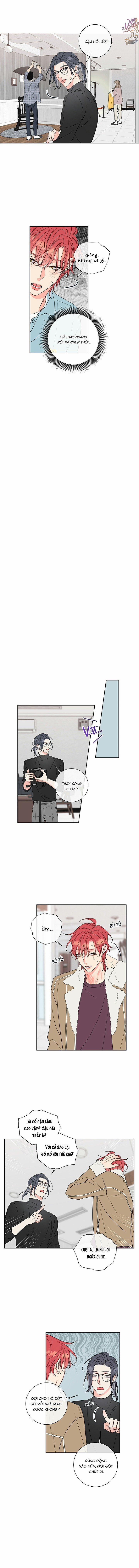 Rắc Rối Mật Ngọt 6 trang 7