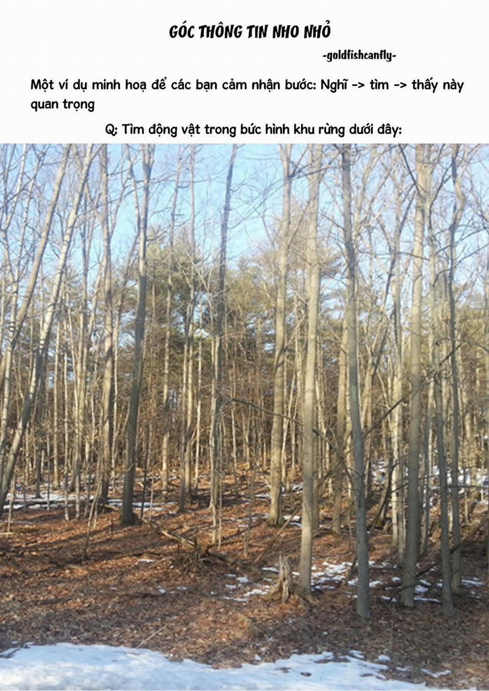 Radiation House 95 trang 24