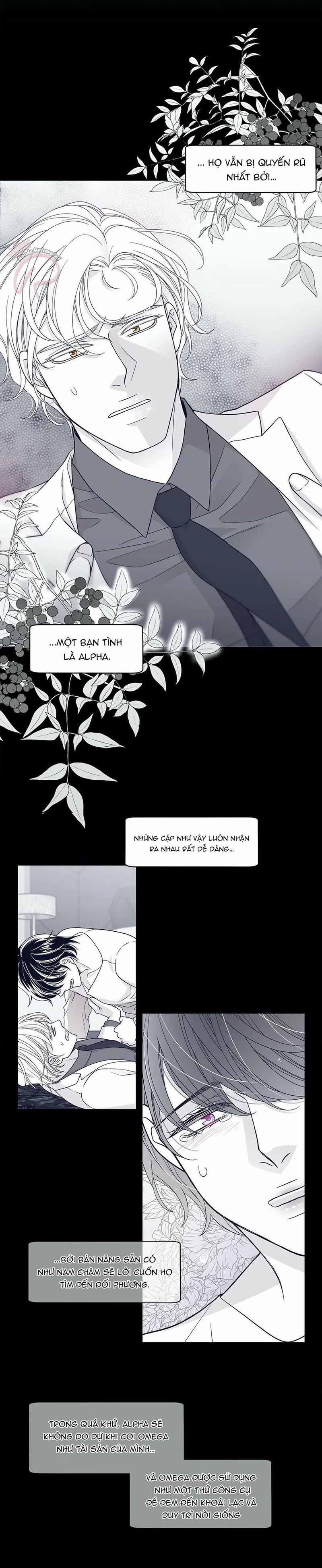 Rain Yêu Dấu 41 trang 4