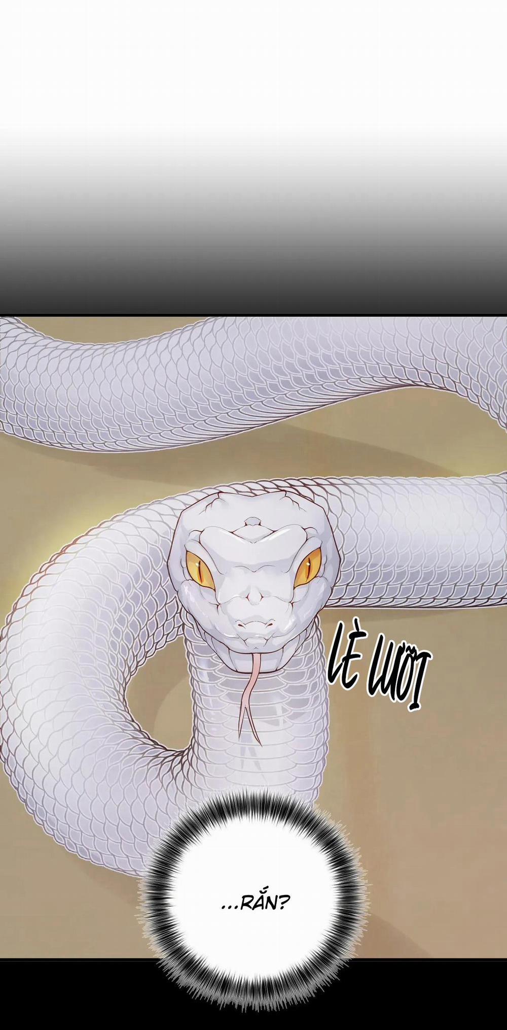 Rắn Và Ân Nhân 1 H+ trang 8