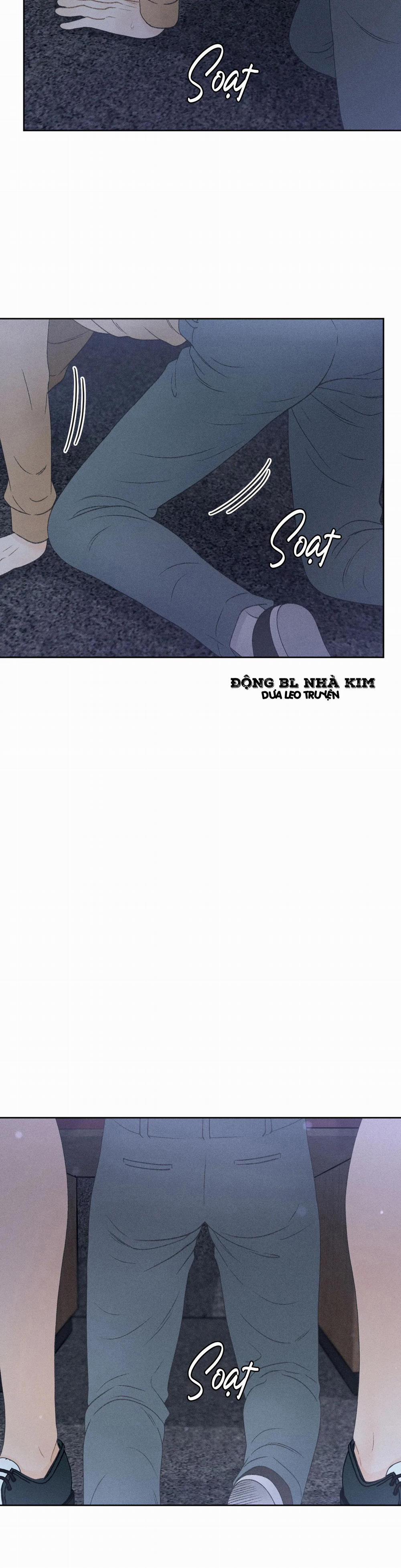 Rạp Chiếu Phim Anemone 13 trang 11