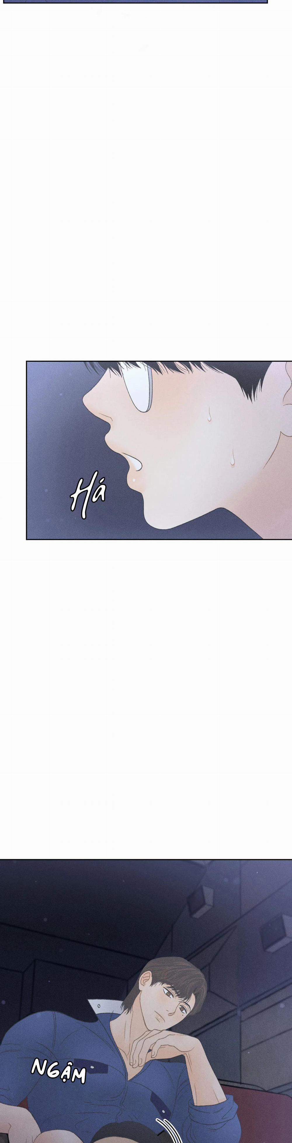 Rạp Chiếu Phim Anemone 13 trang 13