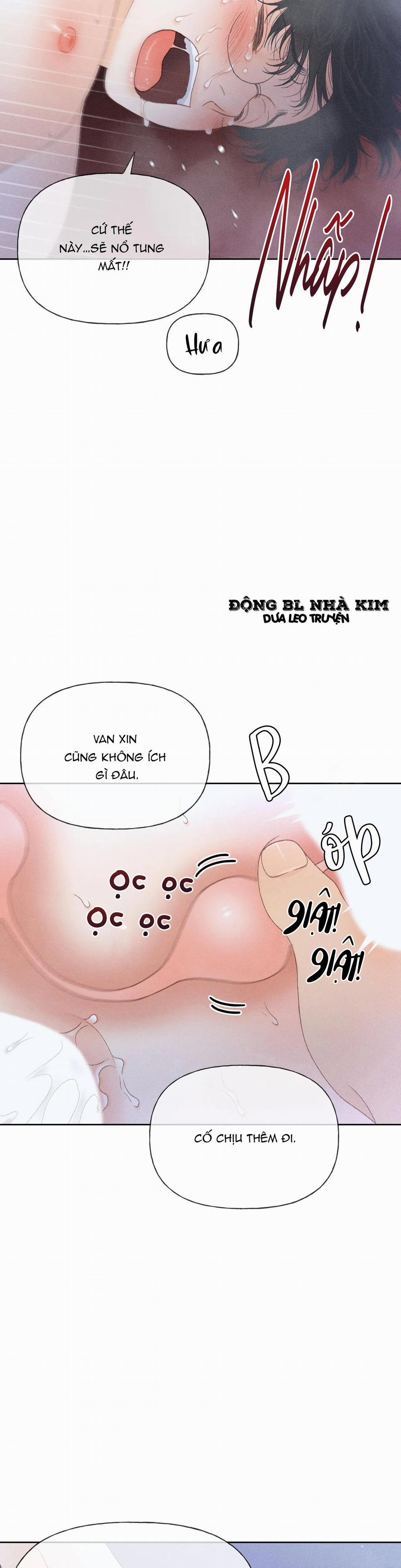 Rạp Chiếu Phim Anemone 14 trang 12