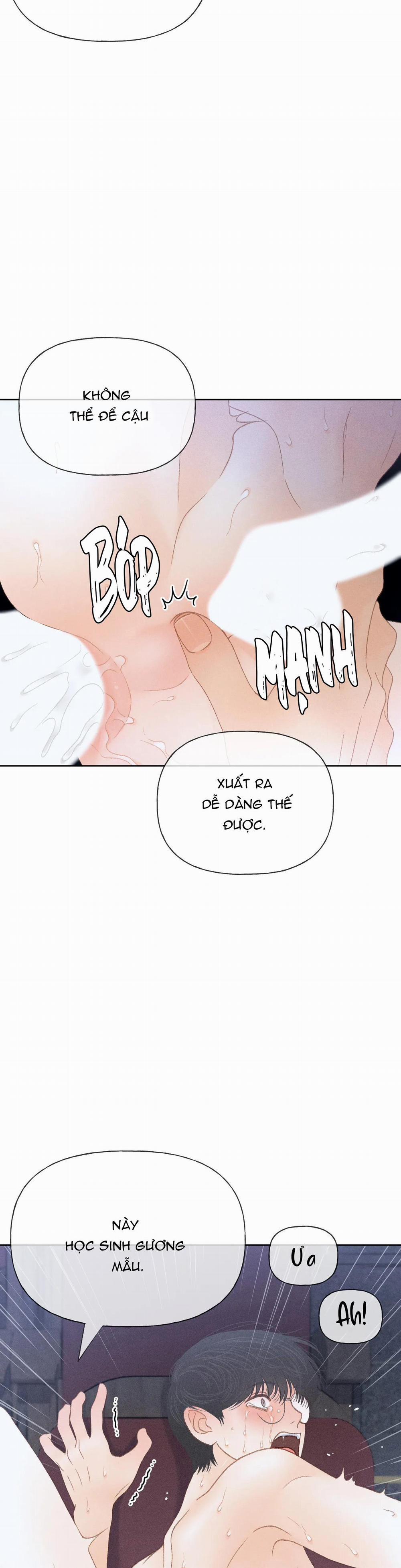 Rạp Chiếu Phim Anemone 14 trang 9