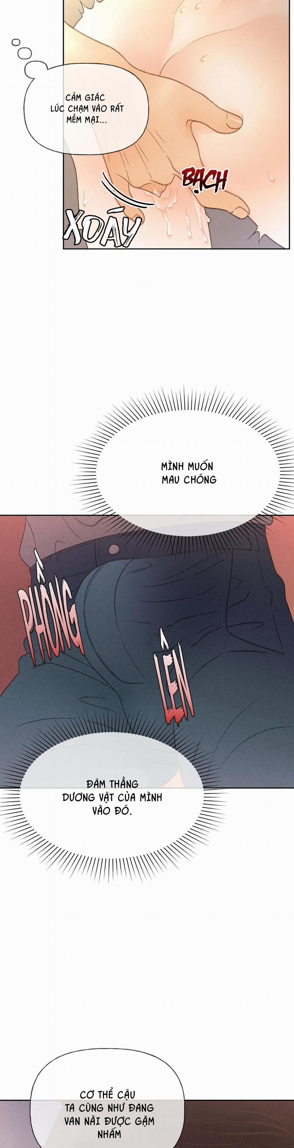 Rạp Chiếu Phim Anemone 20 trang 13