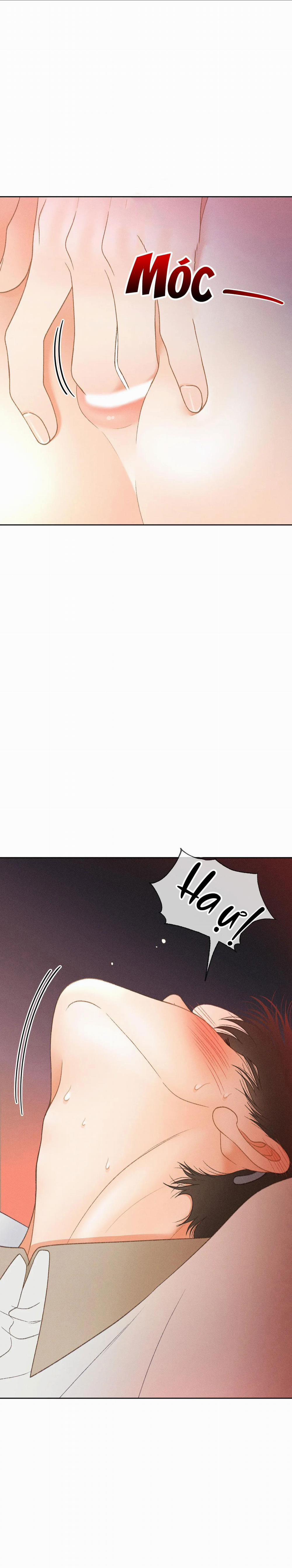 Rạp Chiếu Phim Anemone 35 trang 3