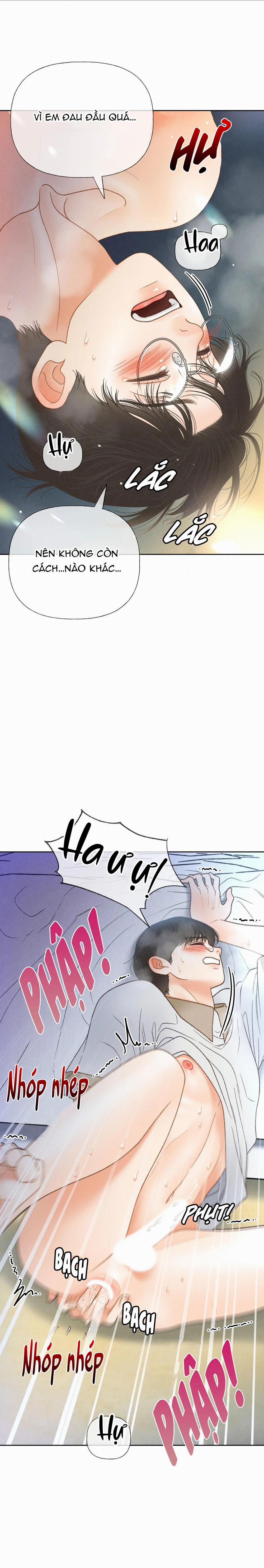 Rạp Chiếu Phim Anemone 35 trang 5