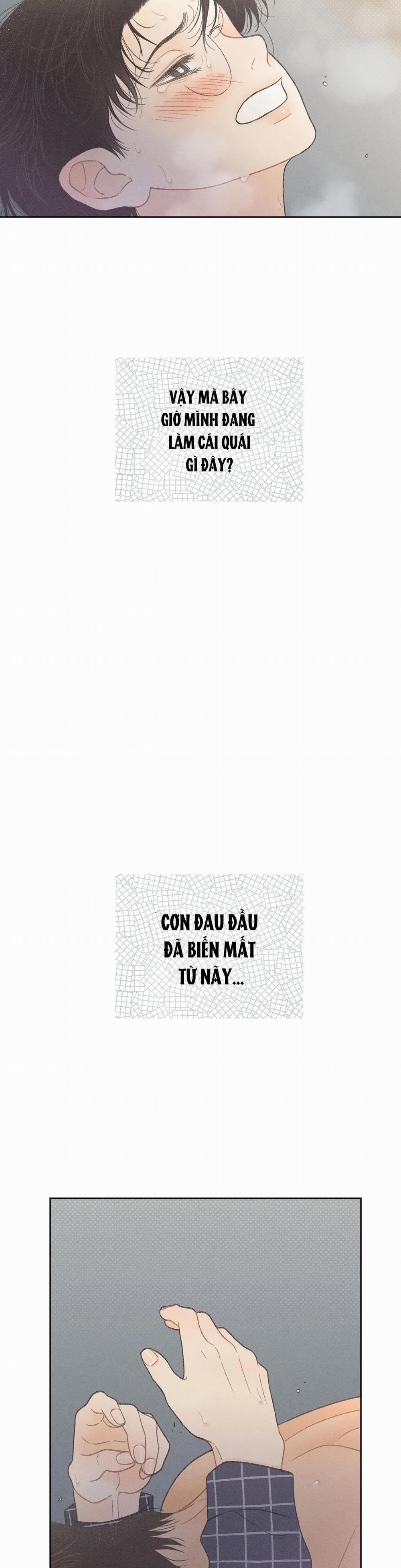 Rạp Chiếu Phim Anemone 9 trang 13