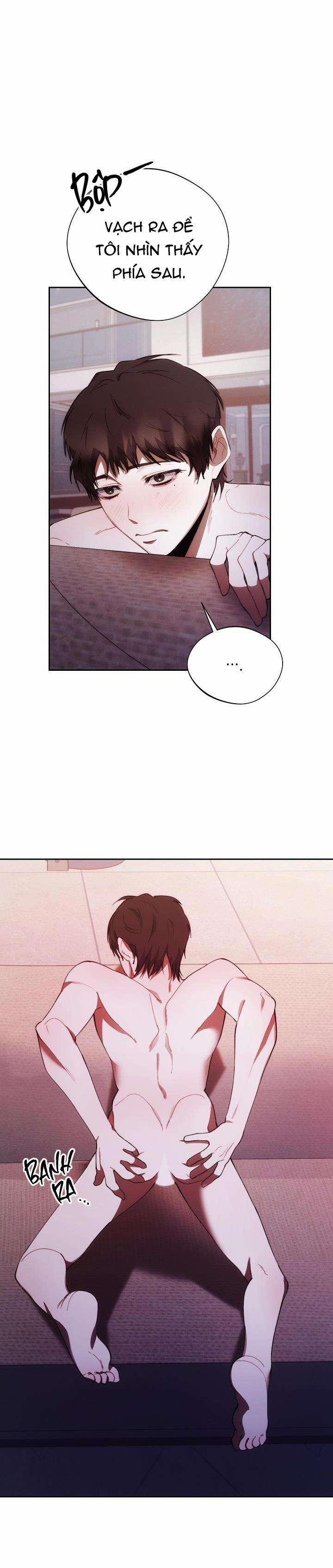 Red Mansion 22 trang 11