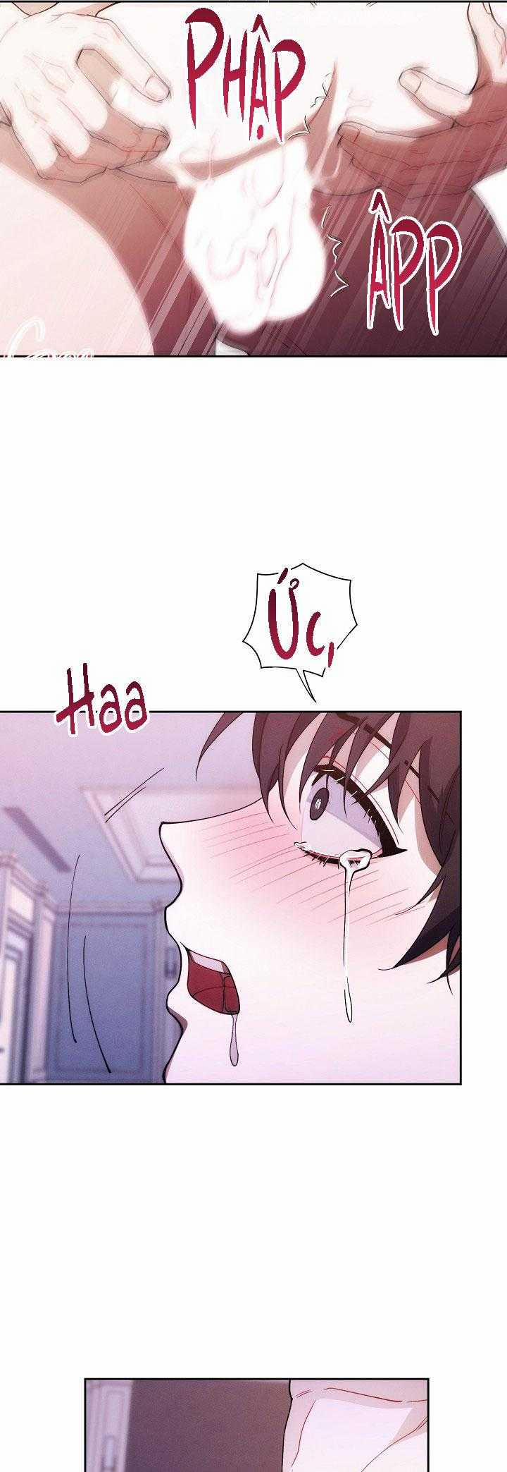 Red Mansion 35 trang 21