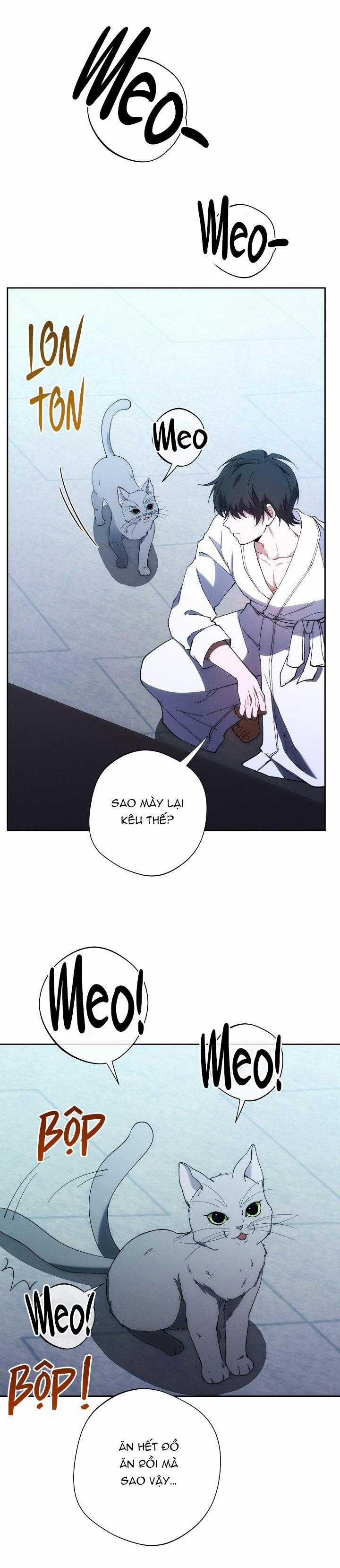 Red Mansion 38 trang 13