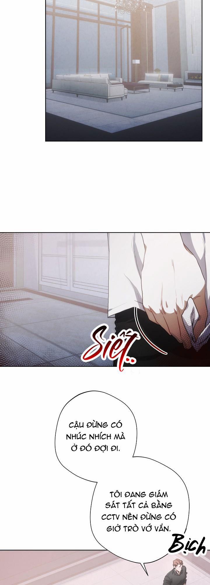 Red Mansion 4 trang 13