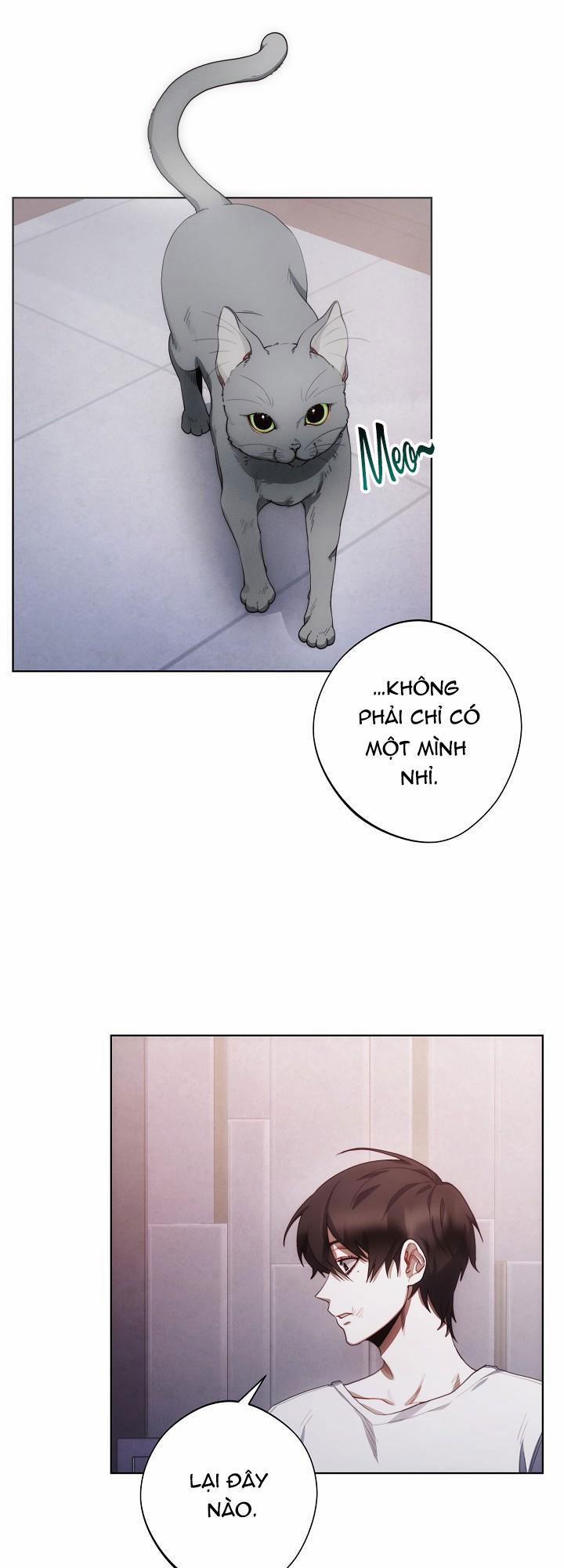 Red Mansion 4 trang 17