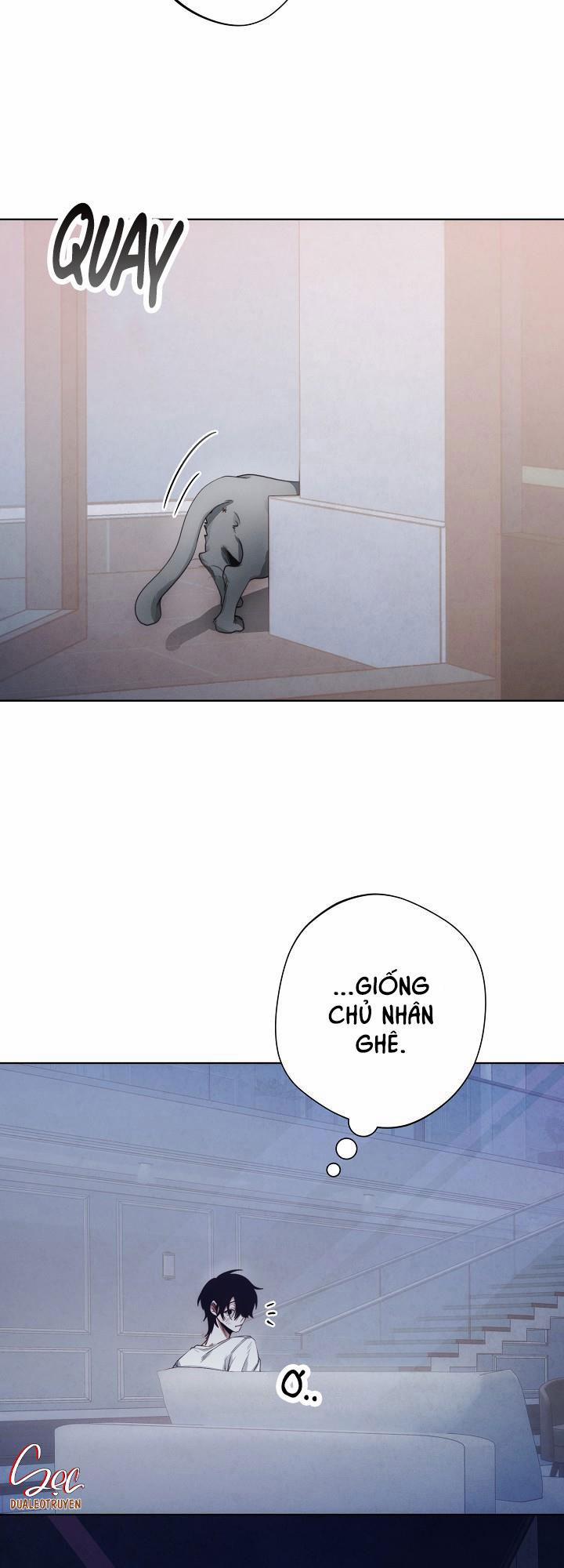 Red Mansion 4 trang 18