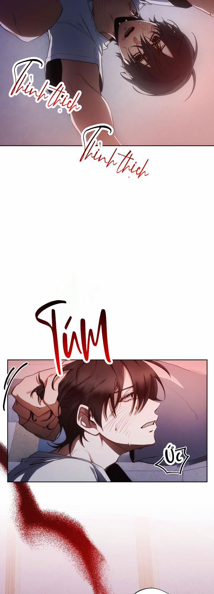 Red Mansion 4 trang 45