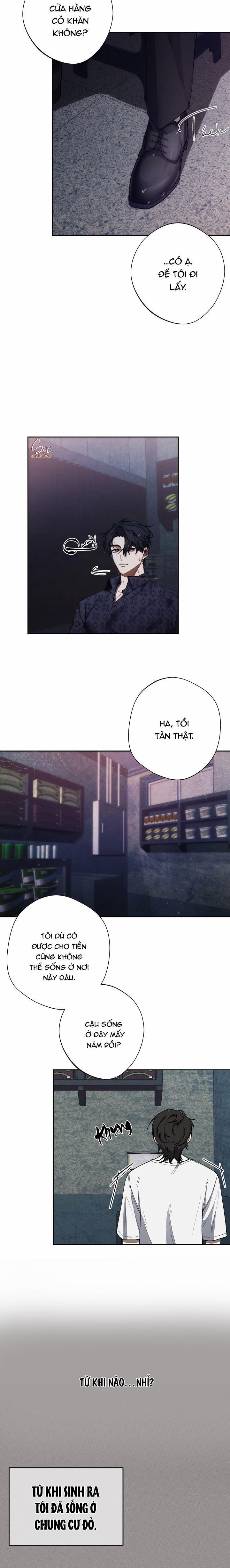 Red Mansion 8 trang 8