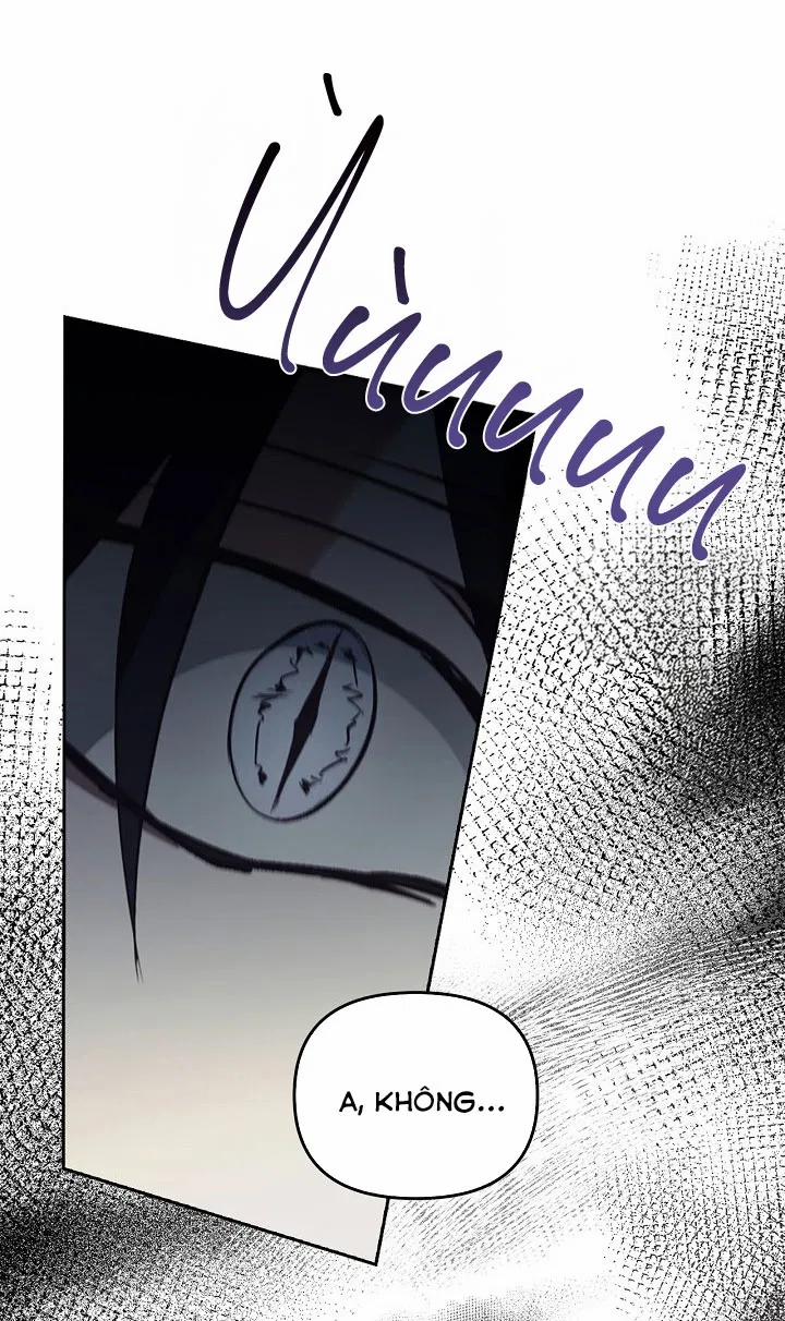 Regas 55 trang 66