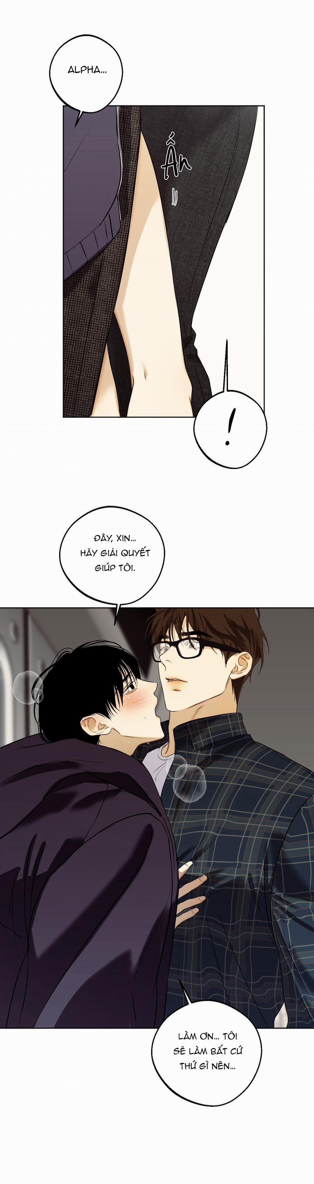 Relay Ss 5.3 báo cáo 3 trang 33