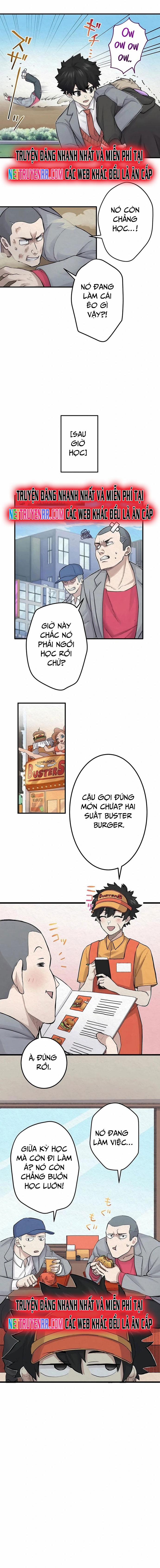 Rental Effort 23 trang 9