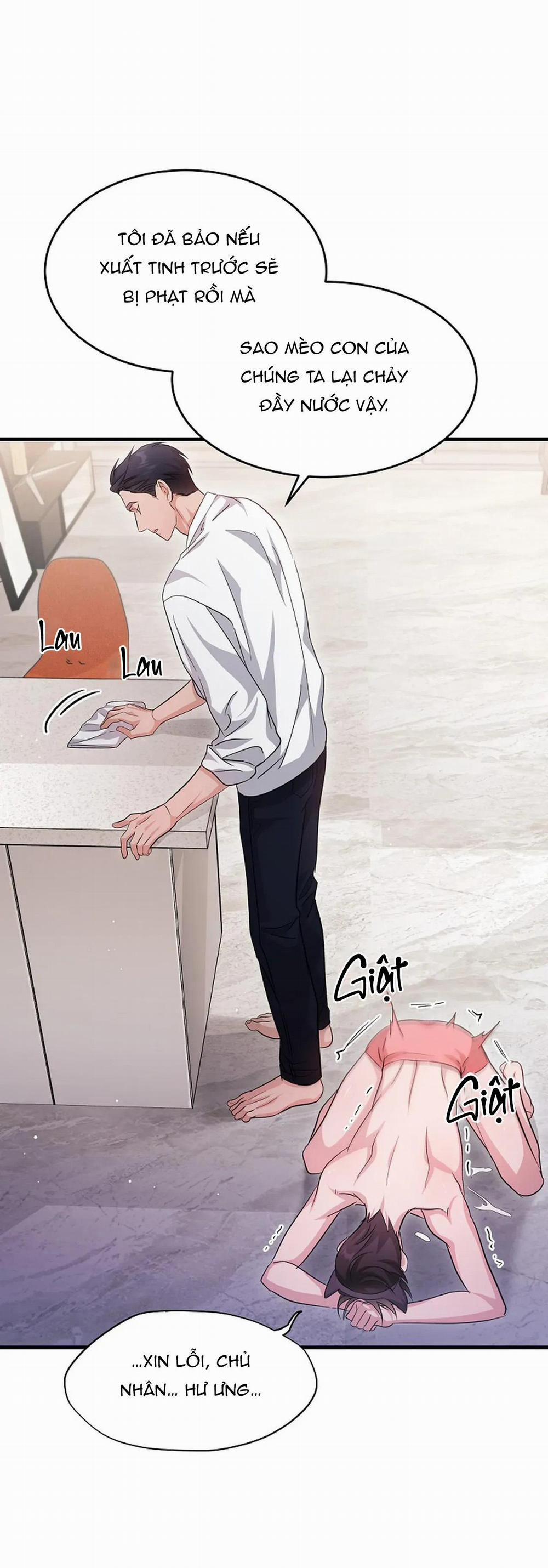 River Of Bondage 19 trang 45