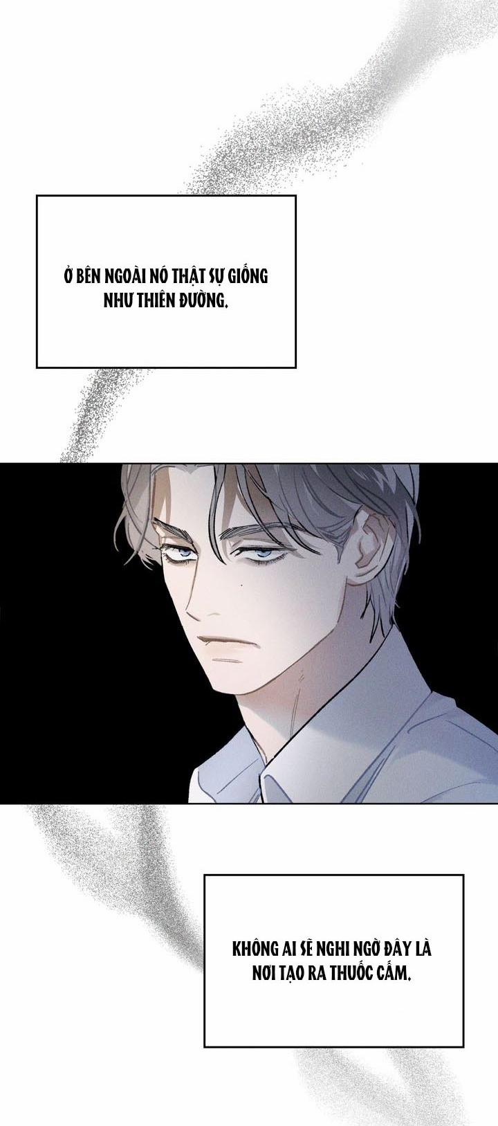 Rơi Vào Nguy Hiểm 9.2 trang 13