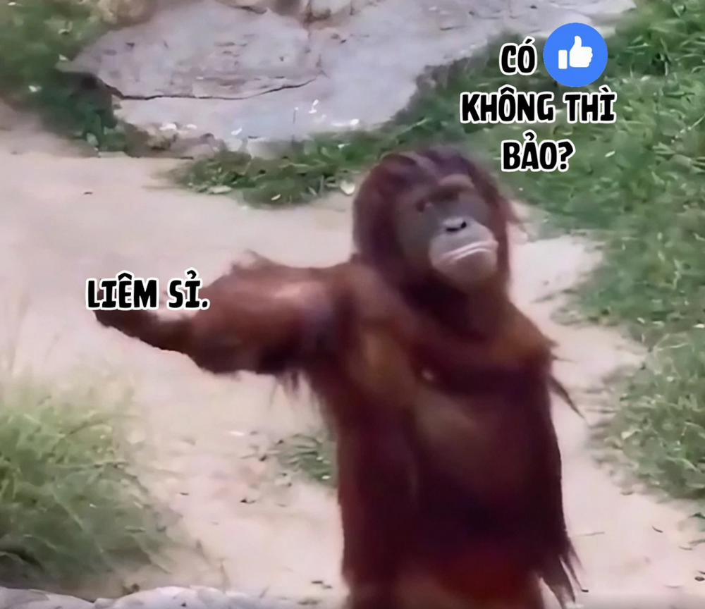 Rowan thuyền trưởng tóc đỏ 3 trang 11