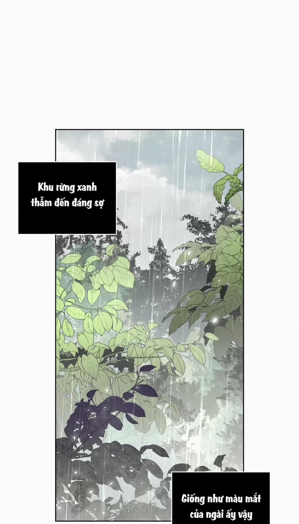 Rừng Biển 7 trang 47