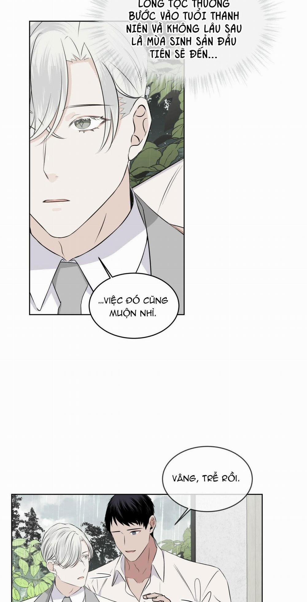 Rừng Biển 8 trang 31