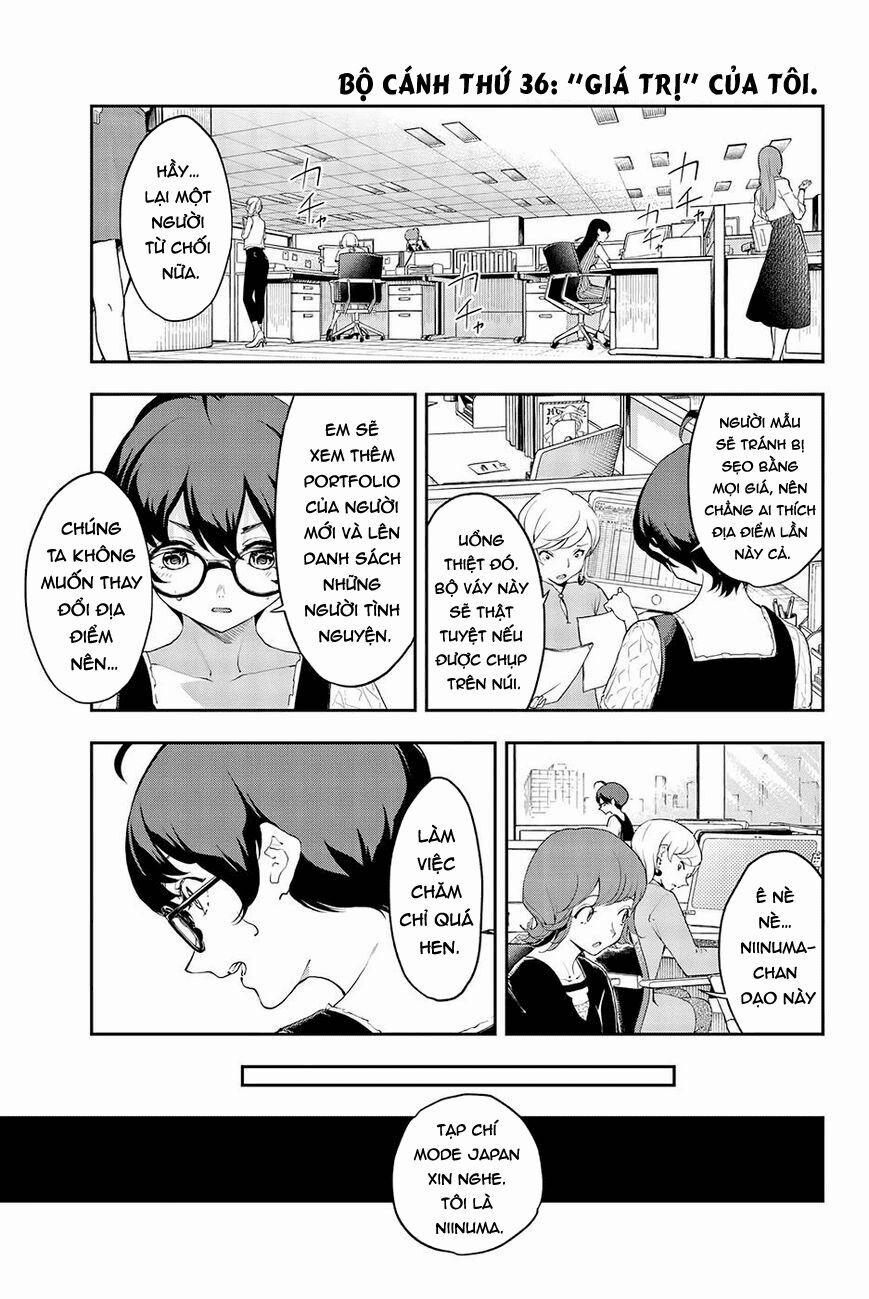 Runway De Waratte 36 trang 2