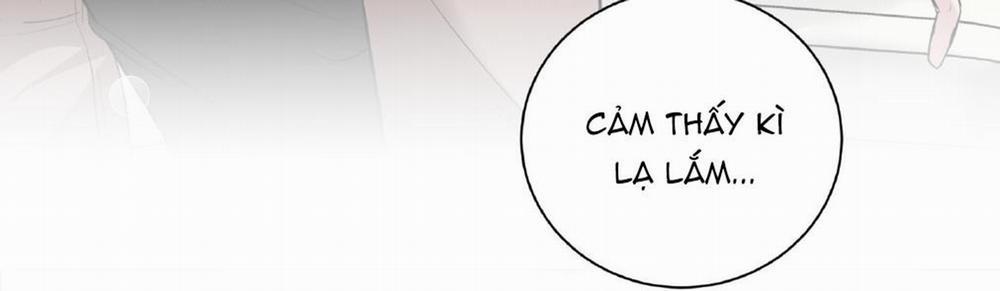 Rut Là Gì Vậy Chứ? 5 trang 223