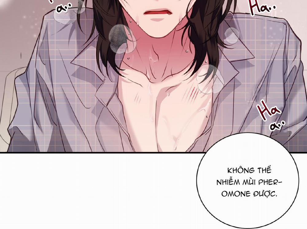 Rut Là Gì Vậy Chứ? 5 trang 233