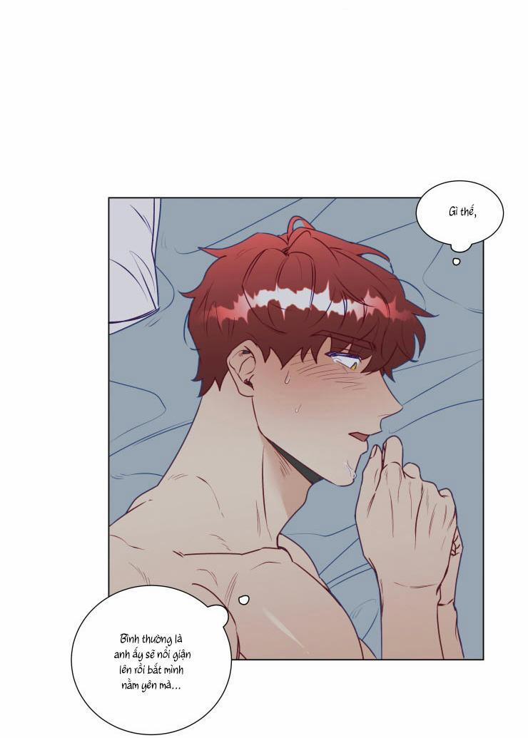S của thần linh hay S của sự bạo dâm ? 12 trang 25