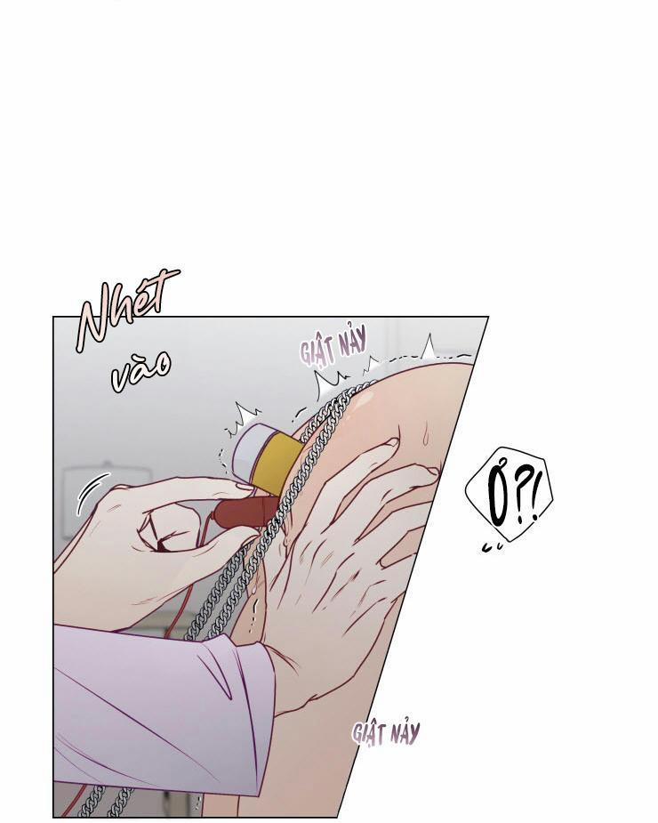 S của thần linh hay S của sự bạo dâm ? 12 trang 6