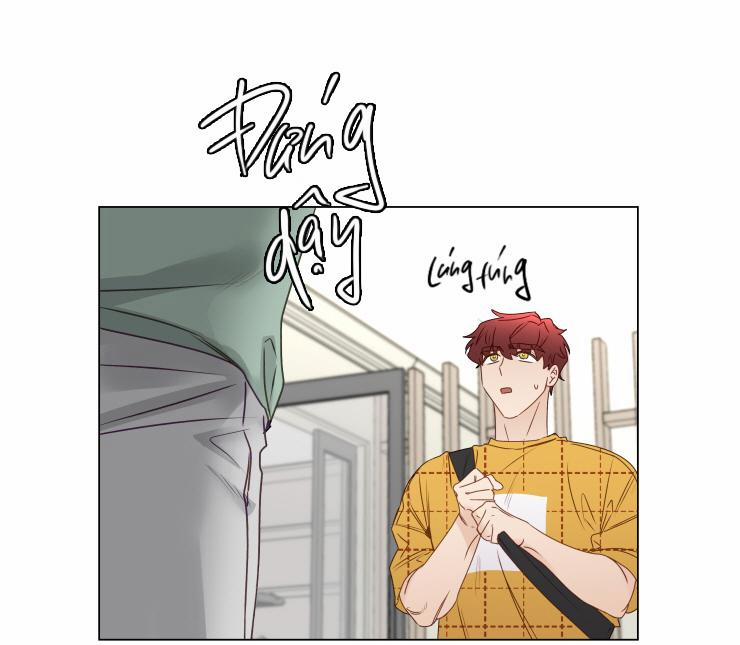 S của thần linh hay S của sự bạo dâm ? 14 trang 26